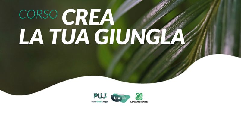 Crea la tua giungla