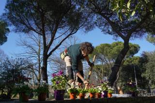 Crea la tua giungla