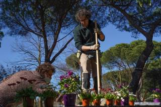 Crea la tua giungla