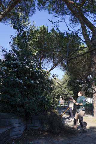 Crea la tua giungla