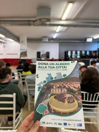 Dona un albero