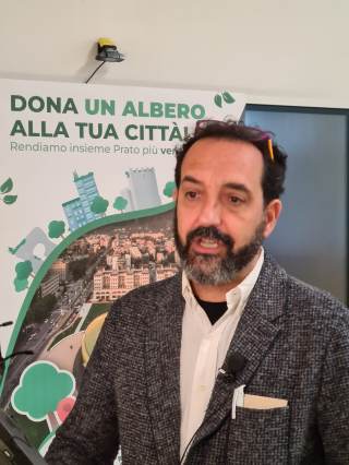 Dona un albero