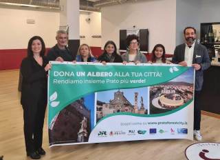 Dona un albero