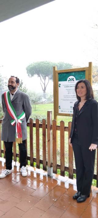 Dona un albero