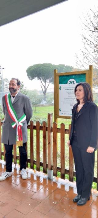 Dona un albero